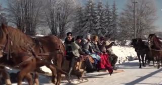 Săniile trase de cai, atracție pentru turiștii străini