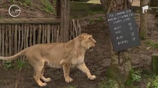 Grădina Zoologică din Londra a început 2020 cu recensământul animalelor