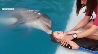 Terapia cu delfini a schimbat viaţa unei fetiţe cu autism din Gorj