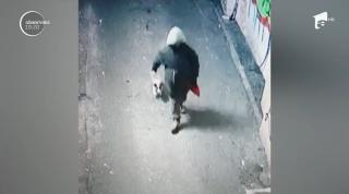 Bărbatul care a spânzurat un câine în București, surprins de camerele de supraveghere