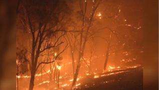 Tornade de foc în Australia, flăcări de zeci de metri înălţime, români prinşi în mijlocul dezastrului (Video)