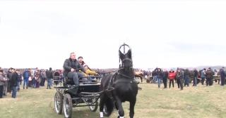 Botezul cailor în zi de Bobotează, tradiție veche de sute de ani