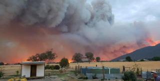 Situaţia extrem de gravă în Australia. Ploaia care a venit nu a ameliorat situaţia aproape deloc