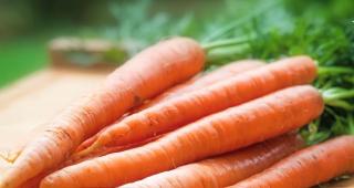 Leacurile băbești, recomandate sau nu? Ce spun specialiștii