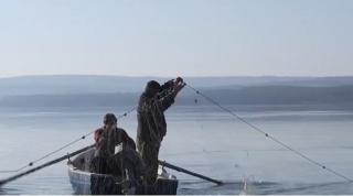 Pescuitul, o industrie intrată la apă