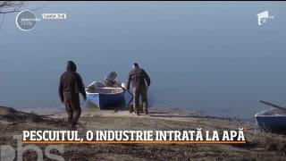 Observator 13 Weekend