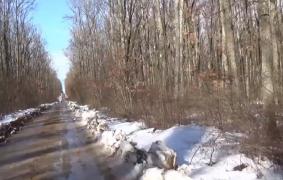 Ion Țiriac și prietenii bogați, la vânat mistreți pe domeniul din Caraş-Severin