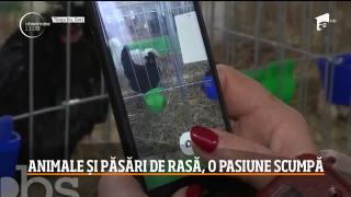 Observator 13 Weekend