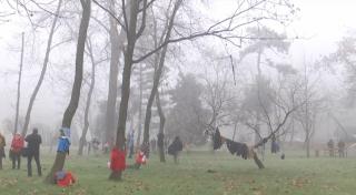 Îmbracă un copac, metoda inedită pentru a dona haine pentru oamenii sărmani