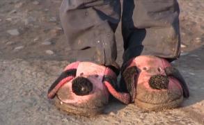 O fetiă de 7 ani s-a ascuns în grădina casei, după ce mama bătută ar fi lovit-o