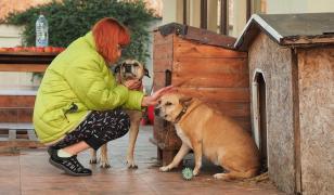 Cristina Ţopescu a murit înconjurată de căței, ființele pe care le iubea necondiționat