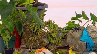 Educație în natură, un nou concept educațional în grădinițe