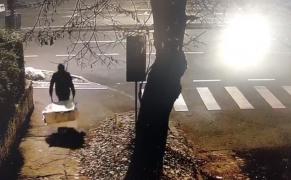 Timișorean amendat cu 3.000 de lei după a aruncat gunoaiele la colţ de stradă