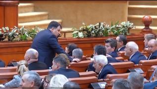 PNL și PSD, tactica pentru alegerile anticipate