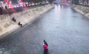O femeie care a vrut să-și pună capăt zilelor și a intrat în râul Dâmboviţa, salvată de un poliţist
