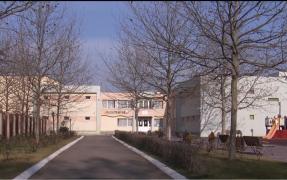 Şcoli şi grădiniţe închise din cauza răspândirii gripei