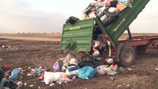 Gunoaie aruncate de primărie, pe câmp, în apropierea localităţii Păuliş