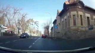 Căţel surprins când traversează strada în mod regulamentar, în Târgu Mureş (Video)