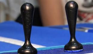 Condiții noi la vot. Vor putea vota doar cetățenii cu viză de flotant mai veche de 60 de zile