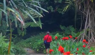 Turismul din întreaga lume, afectat de răspândirea virusului din China