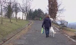 Construcția Centurii Metropolitane în Cluj stârnește nemulțumirea unor localnici