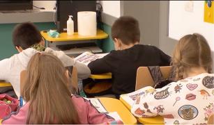 Teama de gripă a dus la luarea unor măsuri radicale în şcolile din România