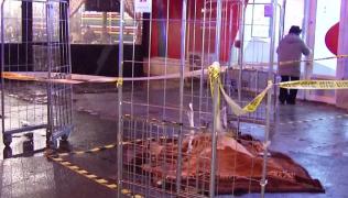 De dorul tatălui, o tânără din Bucureşti a decis să-şi pună capăt zilelor