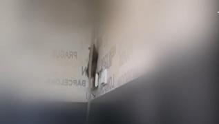 Un şobolan şi-a făcut apariţia într-o sală de clasă din Galați (Video)