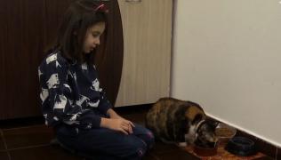 Cum alegem animalul de companie potrivit pentru copilul nostru