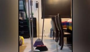 Mătura, nouă provocare ce face înconjurul lumii