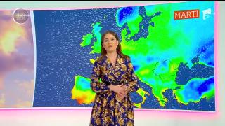 Observator de weekend