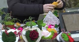 Tablourile cu licheni colorați, la mare căutare. Purifică aerul și reduc stresul