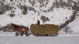 Fundătura Ponorului din Munţii Şureanu, magnet pentru fotografi şi pictori