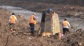 Un grup de voluntari din Europa au curăţat o zonă din apropierea Craiovei