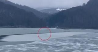 Cerb căzut într-un lac de acumulare, salvat de pompierii din Braşov