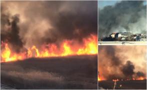 Incendiu major în Bucureşti, arde delta Văcăreşti. Flăcările se extind rapid din cauza vântului (Video)