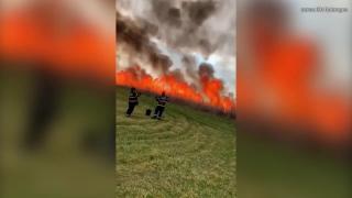 Pompieri copleşiţi de flăcări la Vadu Oii se retrag neputincioşi (Video)