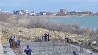 Petiție pentru salvarea ecosistemului de pe lacul Siutghiol