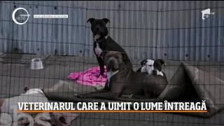 Un veterinar american îngrijeşte animalele persoanelor fără adăpost