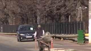 Asistați social fără chef de muncă, în Prahova