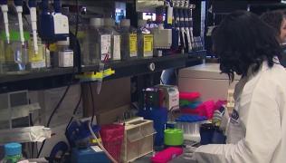 Tratament experimental pentru coronavirus, testat în SUA