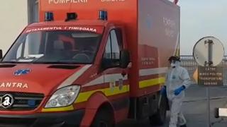 Tâmăra luată cu izoleta de pe Aeroportul din Timișoara venea de la Bergamo