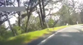 O femeie din SUA a supravieţuit după ce a căzut cu mașina de pe un versant