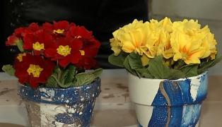 Lecţia de bricolaj. Ghivecele cu aspect marmorat, pete de culoare în casa ta