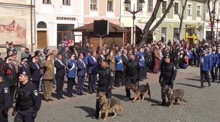 Zara şi Dona, două căţeluşe ale Jandarmeriei Bistriţa-Năsăud, au ieşit la pensie