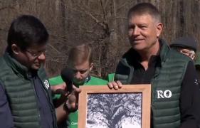 Defrişările, o problemă în România. Autorităţile au început o campanie de împădurire