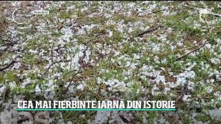 Observator de weekend