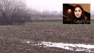 Tânără de 18 ani, dispărută din Baia Mare, găsită moartă şi îngropată pe cu câmp