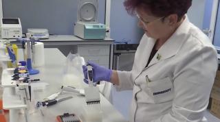 Laborator de testare COVID-19, la Suceava