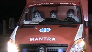 Primarul Timişoarei vrea ștampilarea pe mâini a celor în izolare sau carantină